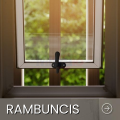 Collection image for: Rambuncis