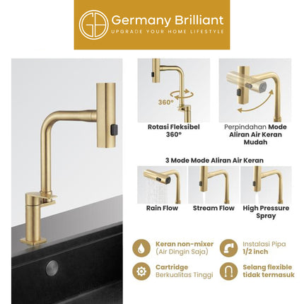 Keran Sink Germany Brilliant GBVS38D Kran Dapur Bak Cuci Piring Air Dingin Series