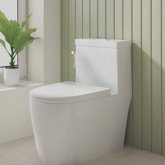 TOILET MONOBLOCK SIPHONIC DKS TMS 1118 S TRAP MB